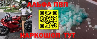 прущие грибы Гатчина
