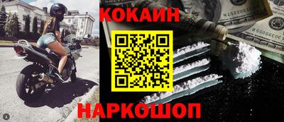 прущие грибы Гатчина