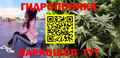 прущие грибы Гатчина
