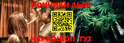 прущие грибы Гатчина