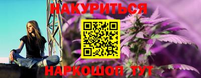 прущие грибы Гатчина