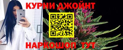 прущие грибы Гатчина
