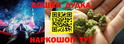 прущие грибы Гатчина