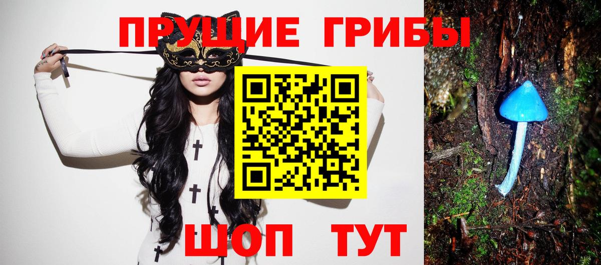 Псилоцибиновые грибы Psilocybine cubensis Жигулёвск