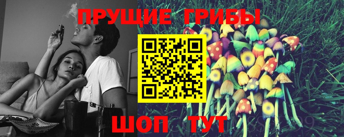 Псилоцибиновые грибы Cubensis  Вход с VPN  Жигулёвск 